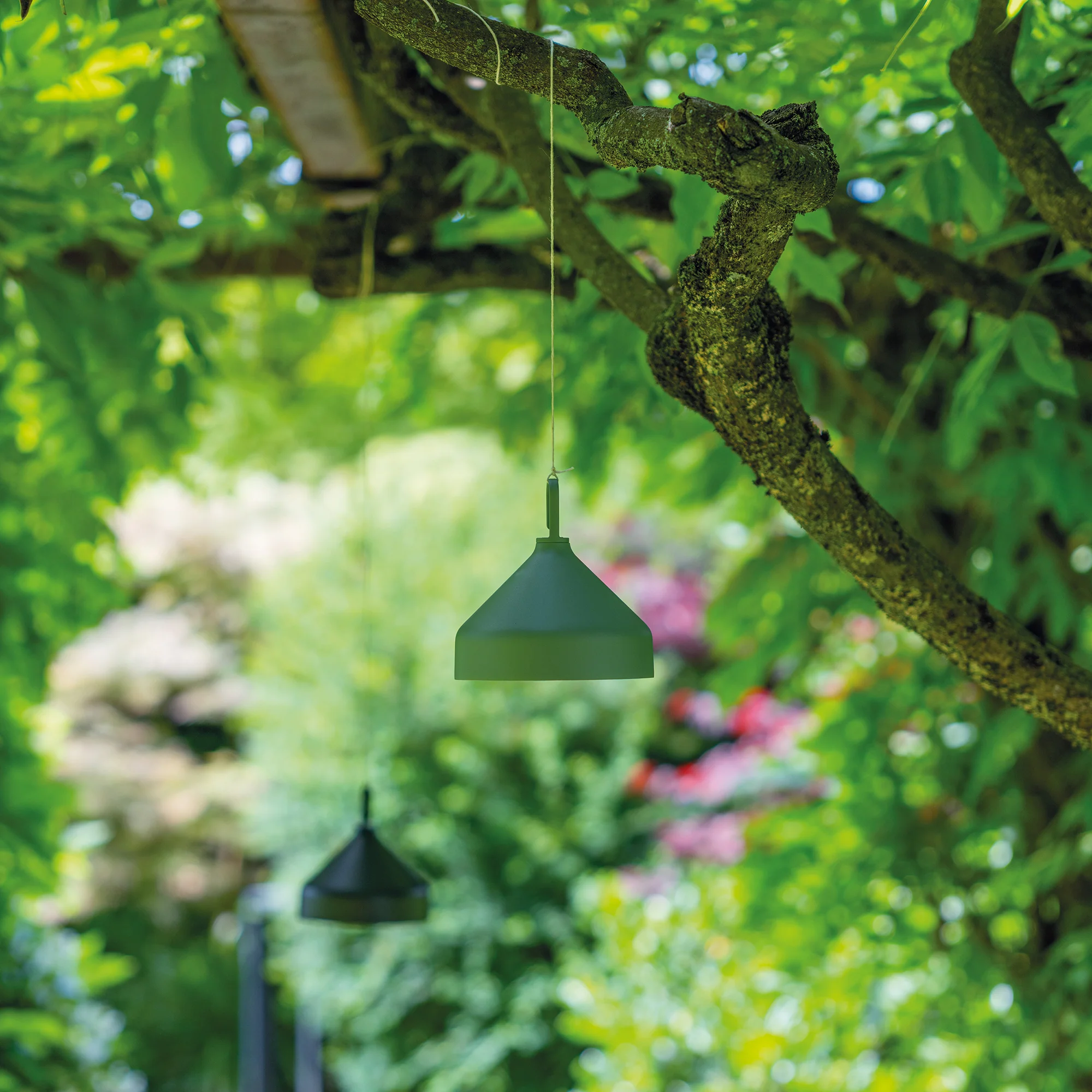 Amelie Pro Hanging Lamp - Image 12
