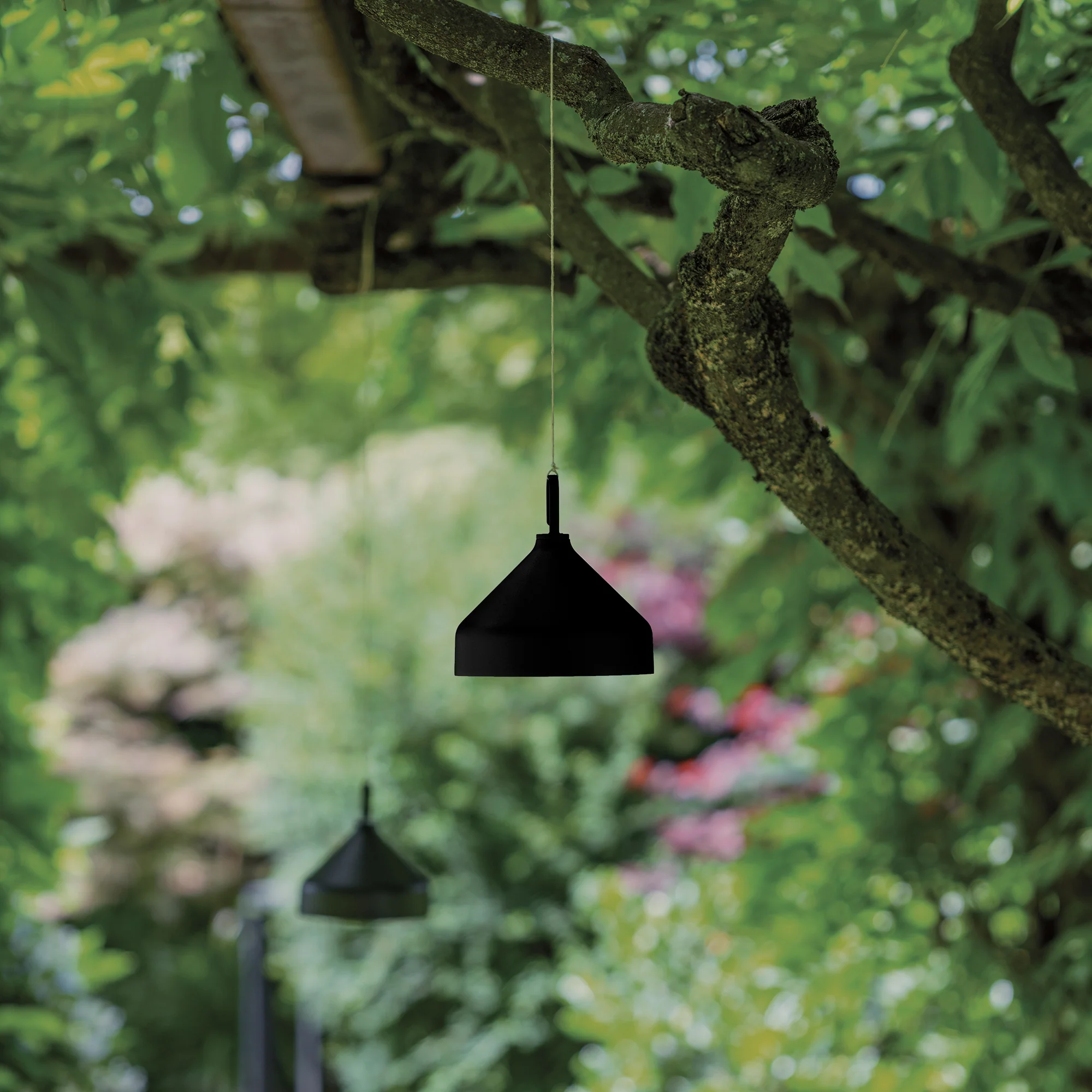 Amelie Pro Hanging Lamp - Image 5