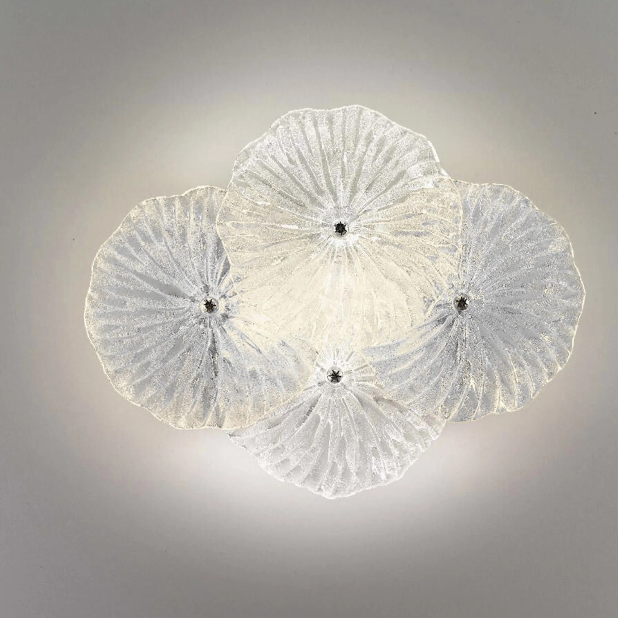 Mariposa Wall / Ceiling Light - Image 9