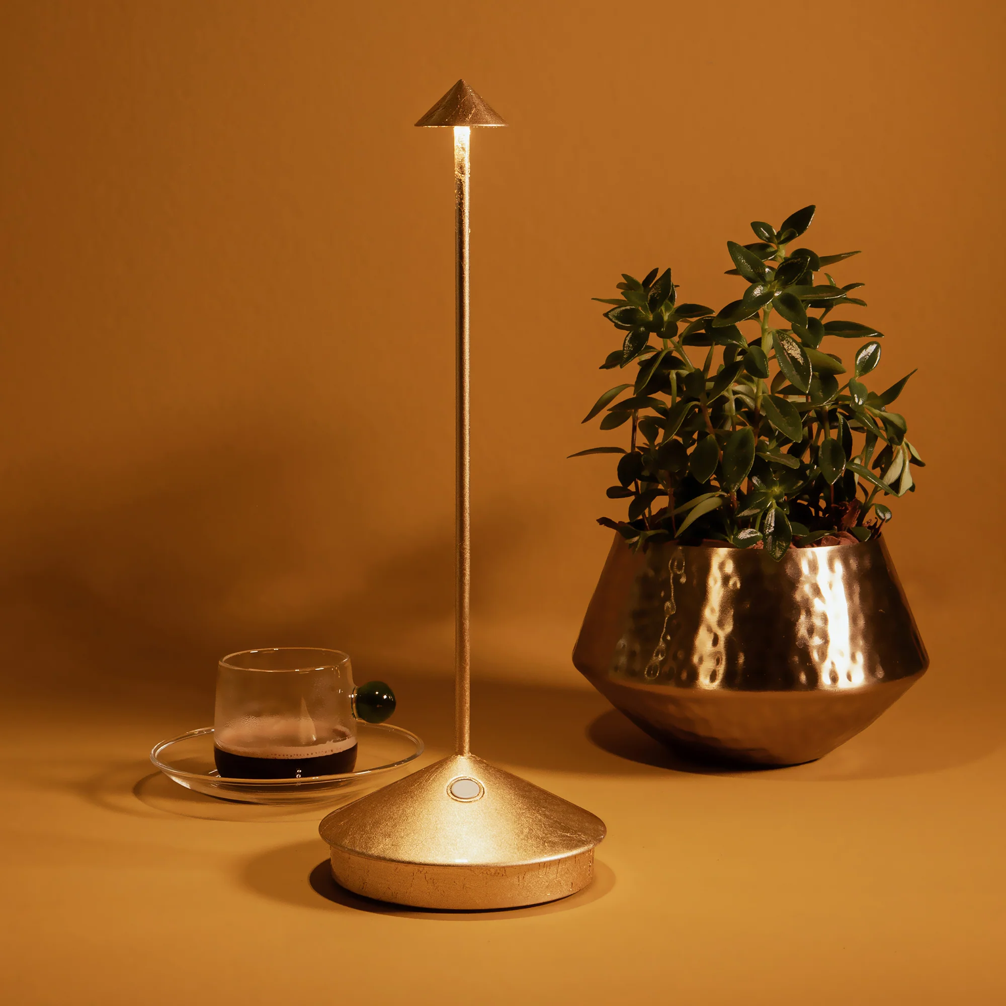 Pina Pro - Image 44
