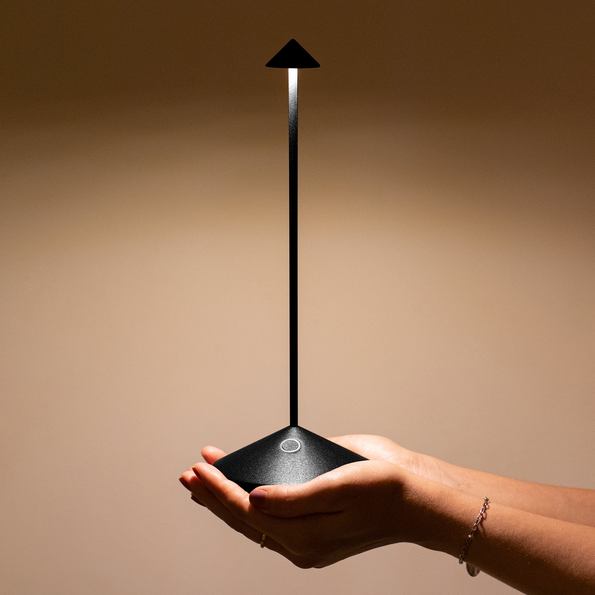 Pina Pro - Image 7