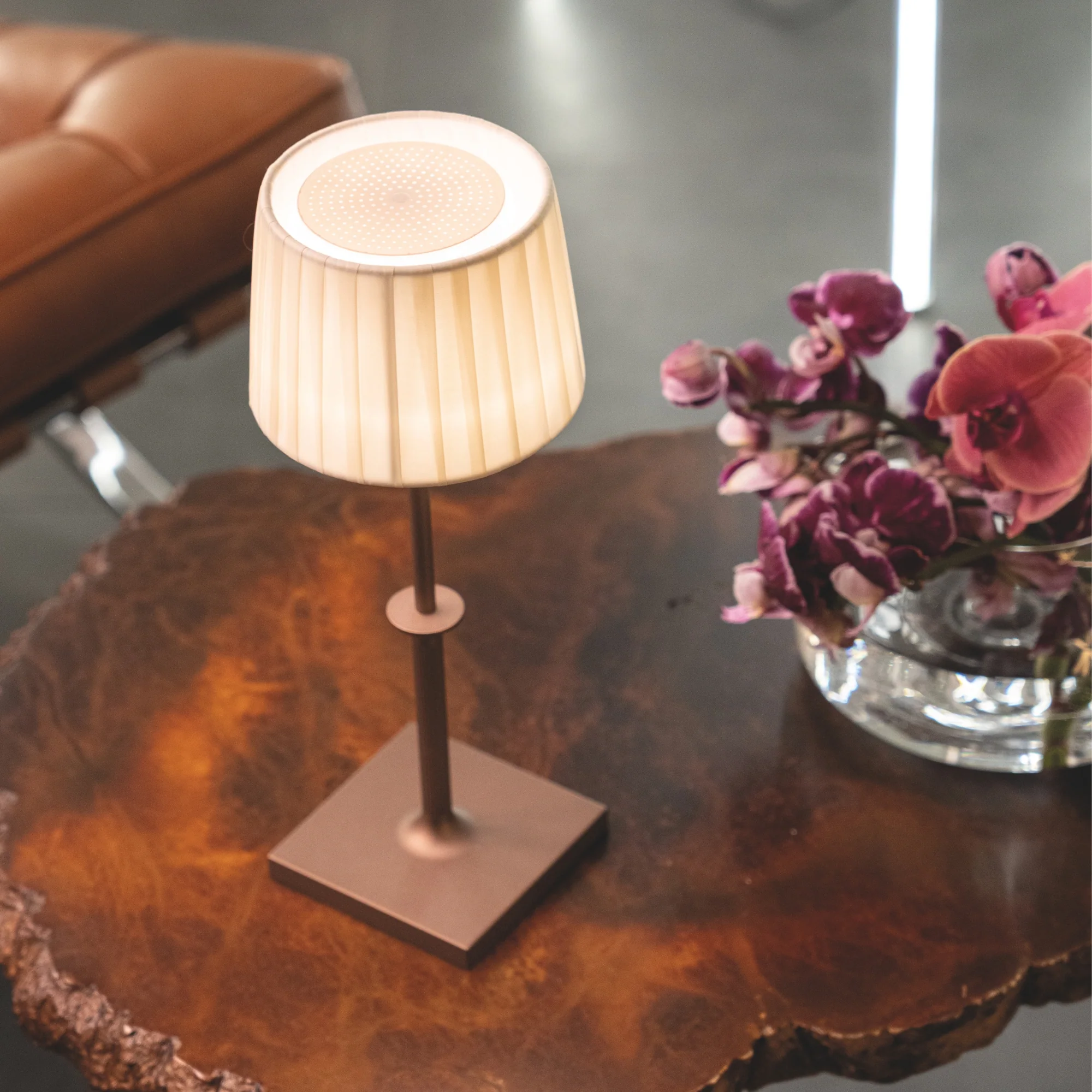 Poldina Classic - Image 8