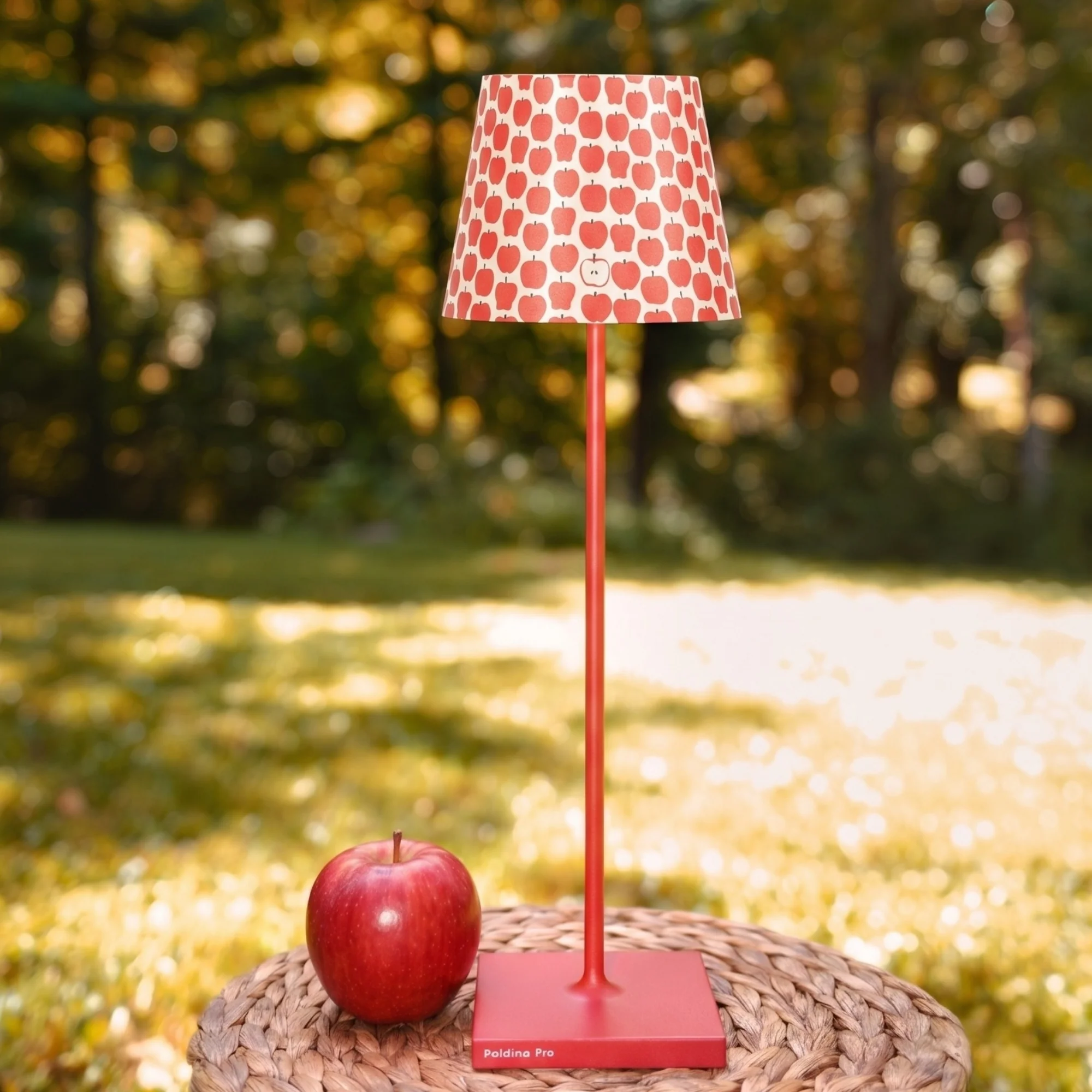 Poldina Graphic Shade - Image 13