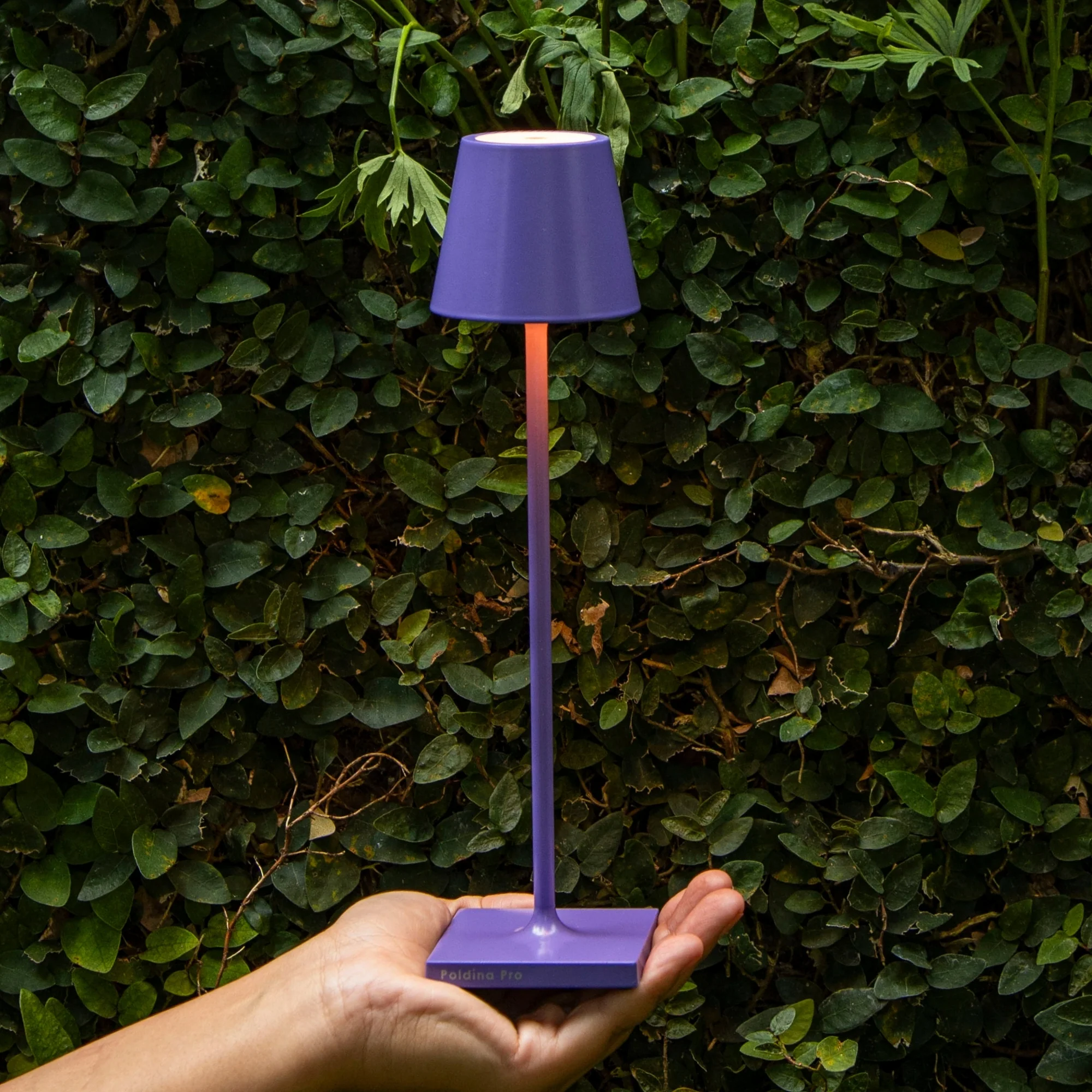 Poldina Pro Micro - Image 23