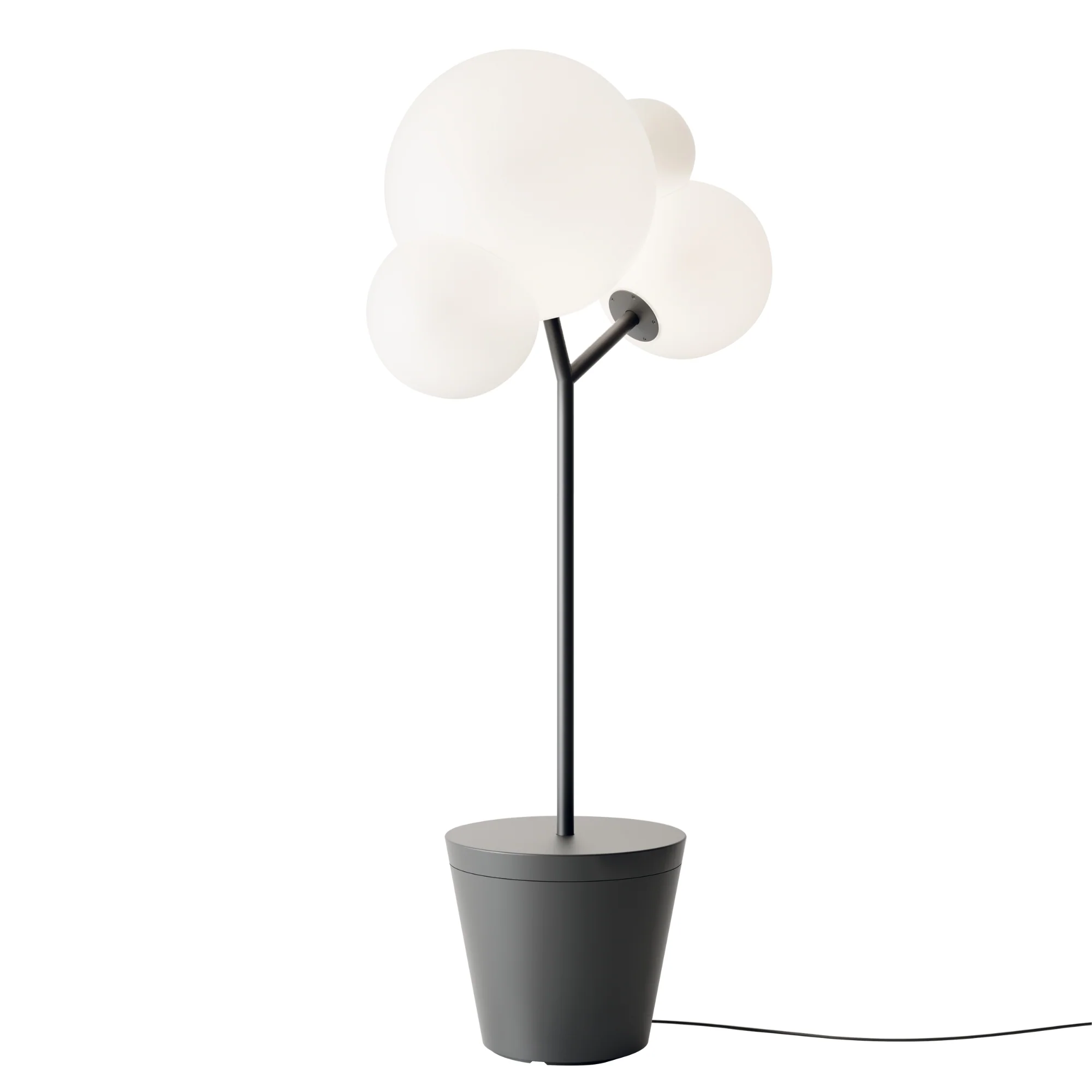 Tree of Light - Image 3