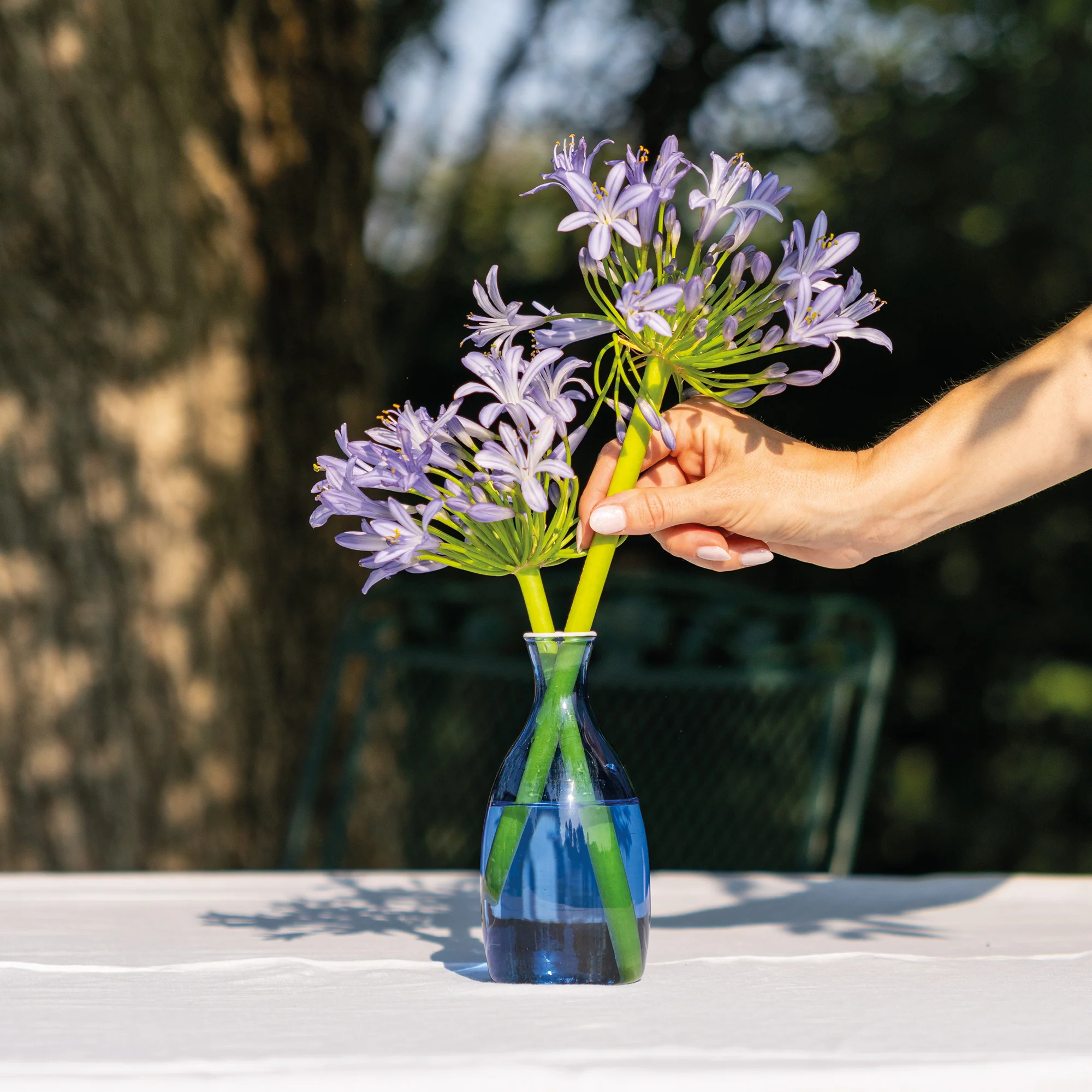 Un Fiore Vase 35 - Image 12